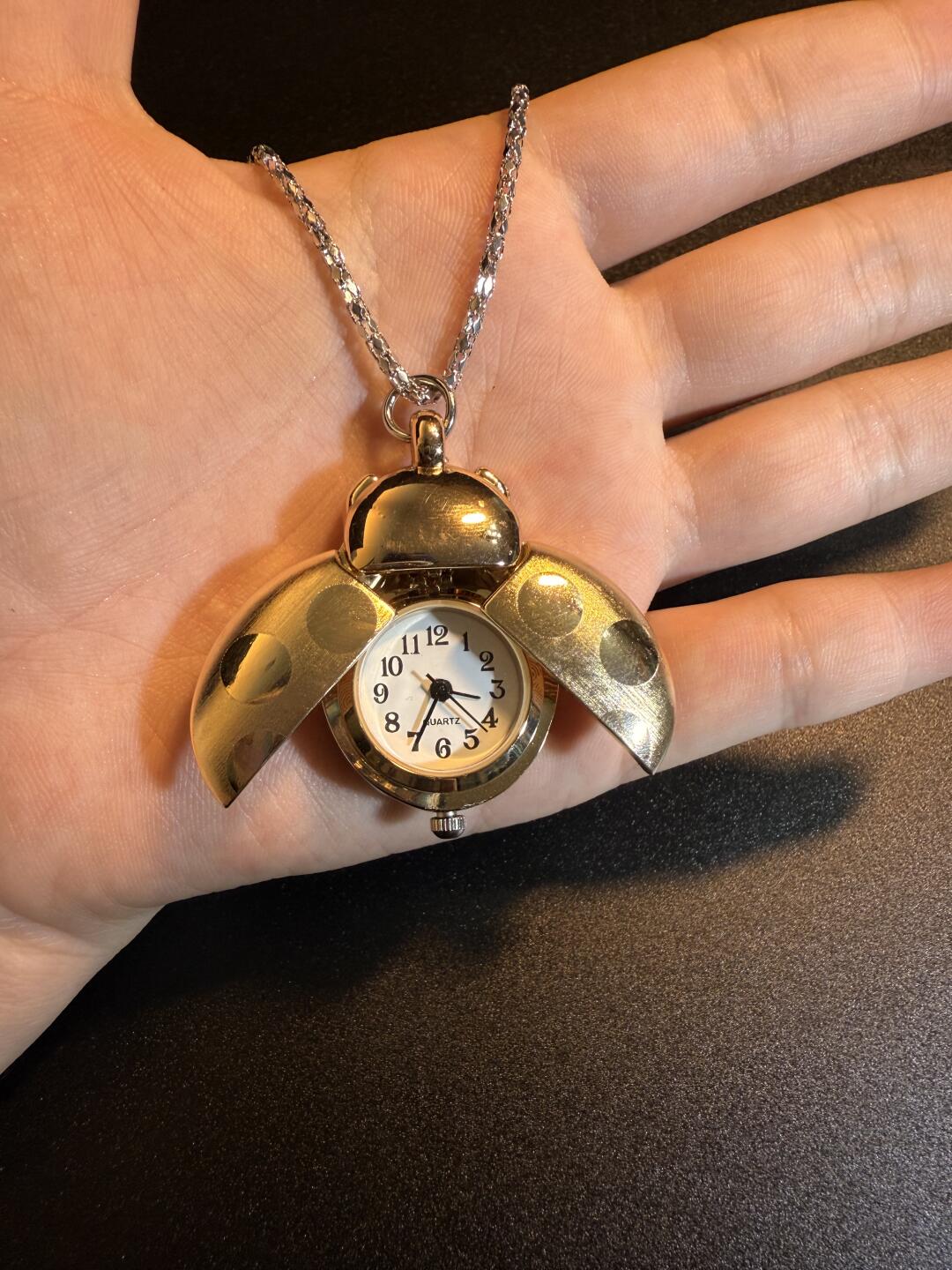 Ladybug Clock Necklace